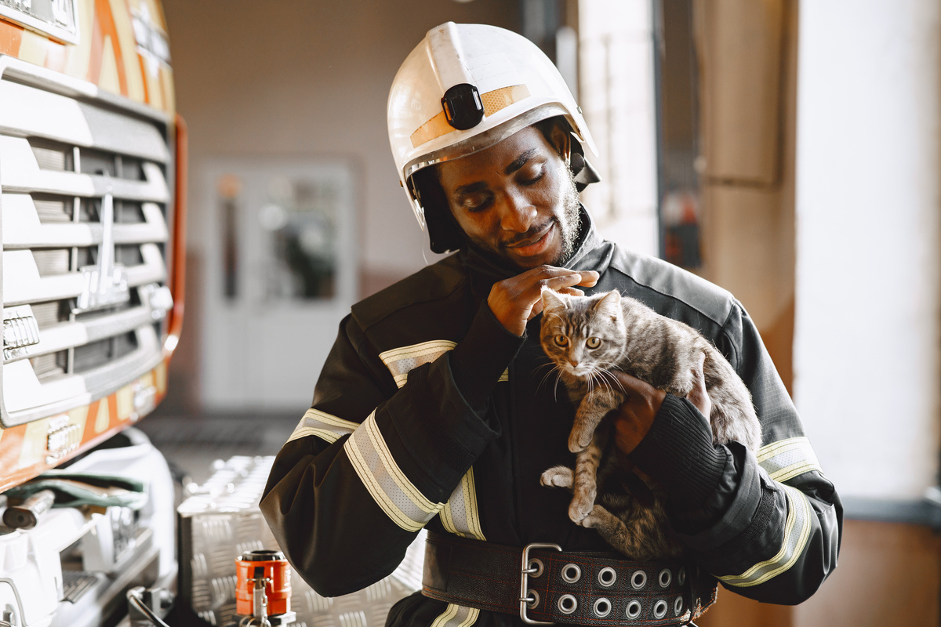 Pet Disaster Preparedness