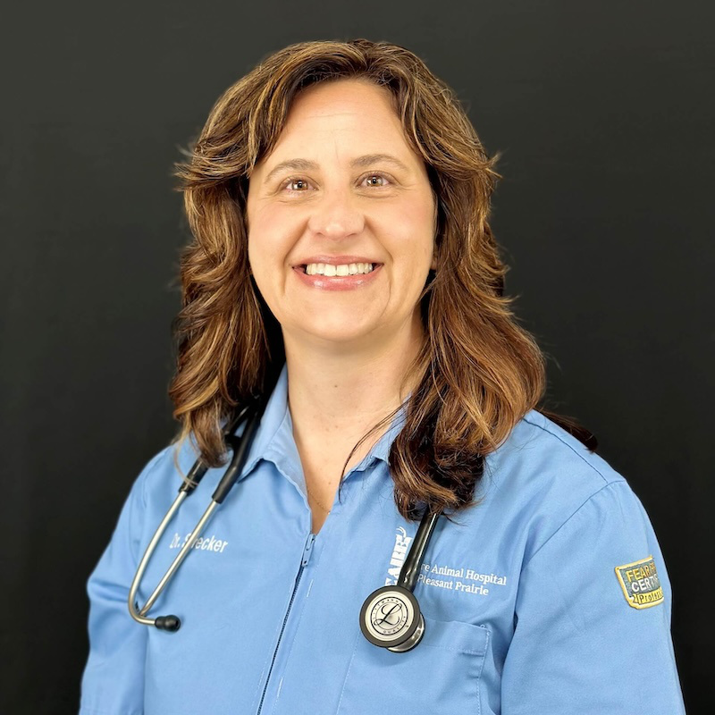 Dr. Kelly Strecker