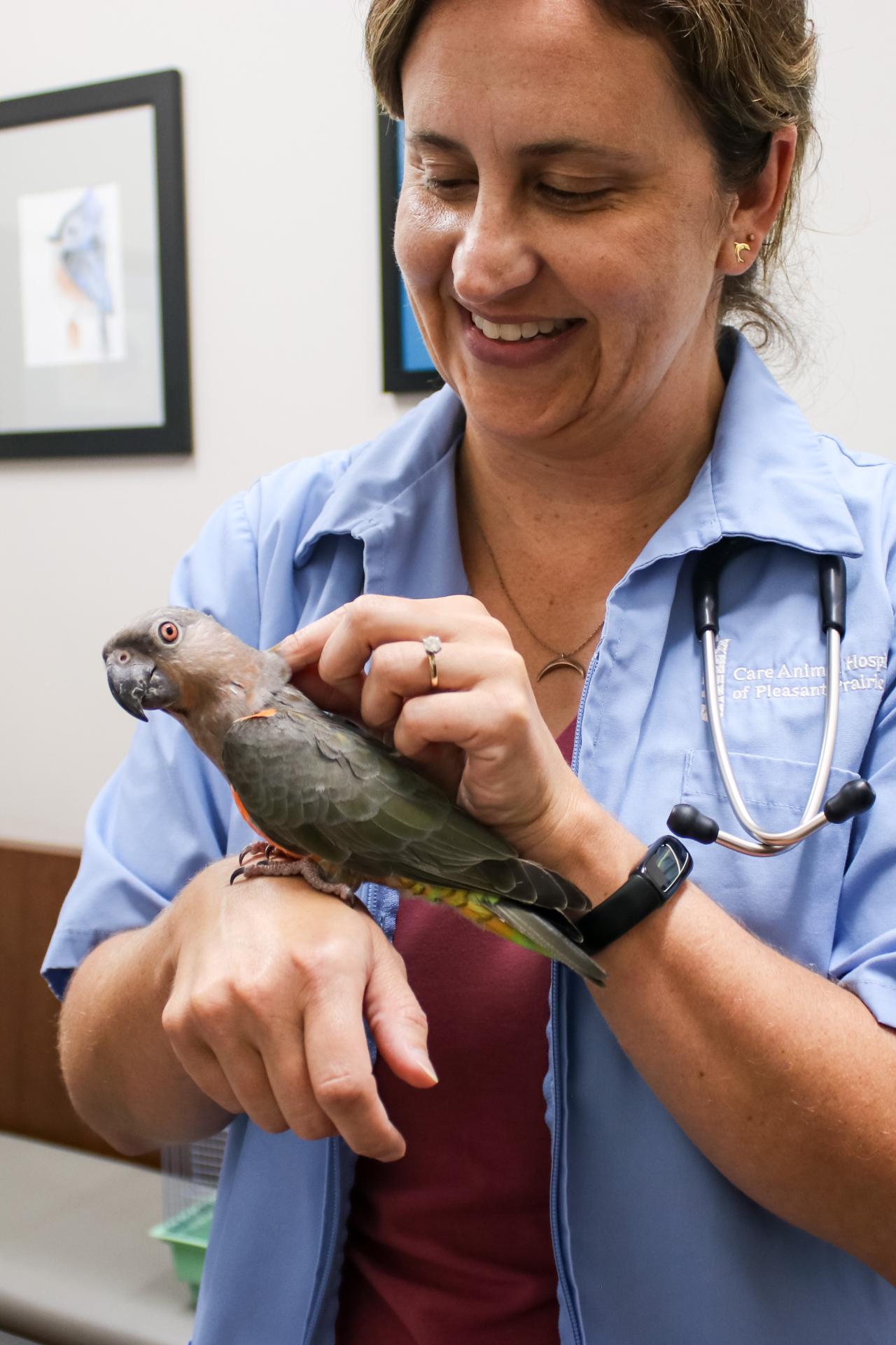 Bird perched on doctor's hand