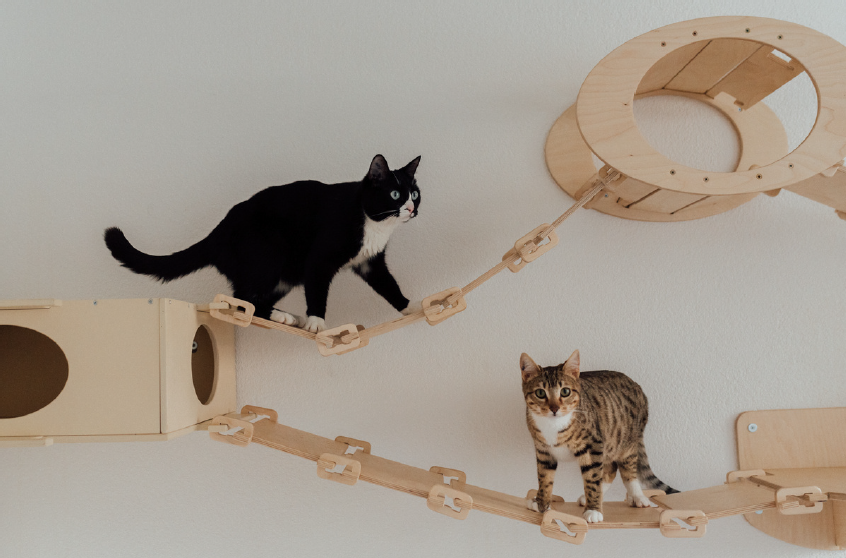 Cat Wall Toys