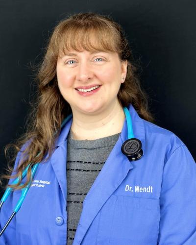 Dr. Erin N. Wendt